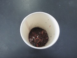 IMG_1029