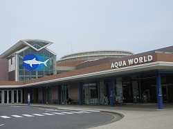 IMG_1119