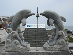 IMG_1120
