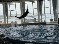 IMG_1132